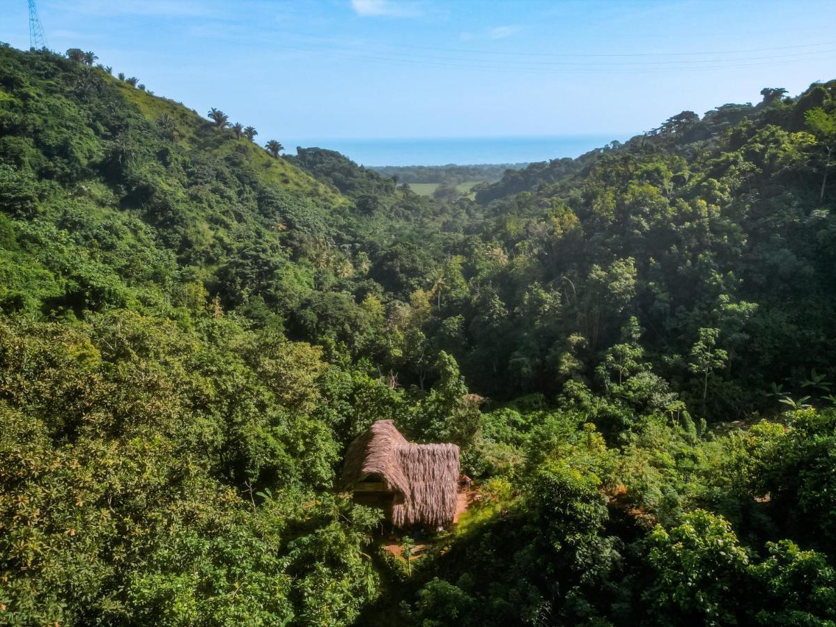 Finca La Selvita Chocolate Experience Buritaca Zewnętrze zdjęcie