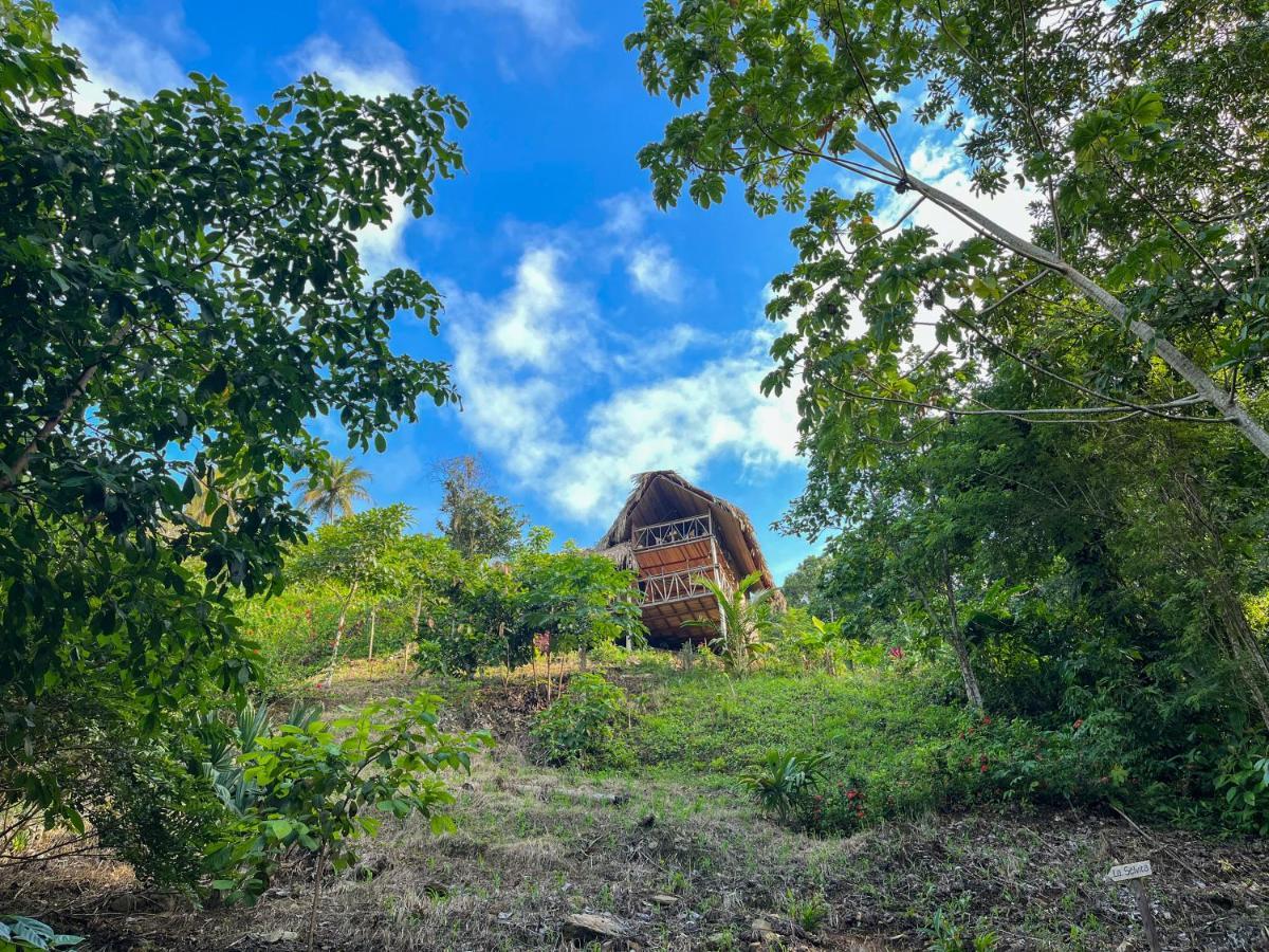 Finca La Selvita Chocolate Experience Buritaca Zewnętrze zdjęcie