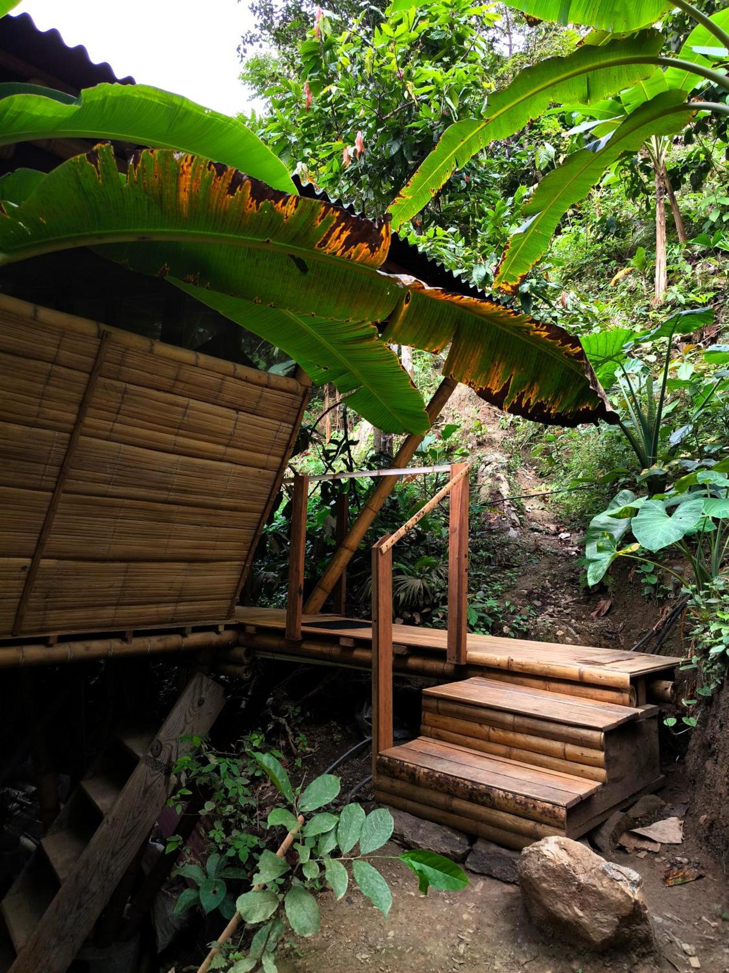 Finca La Selvita Chocolate Experience Buritaca Zewnętrze zdjęcie
