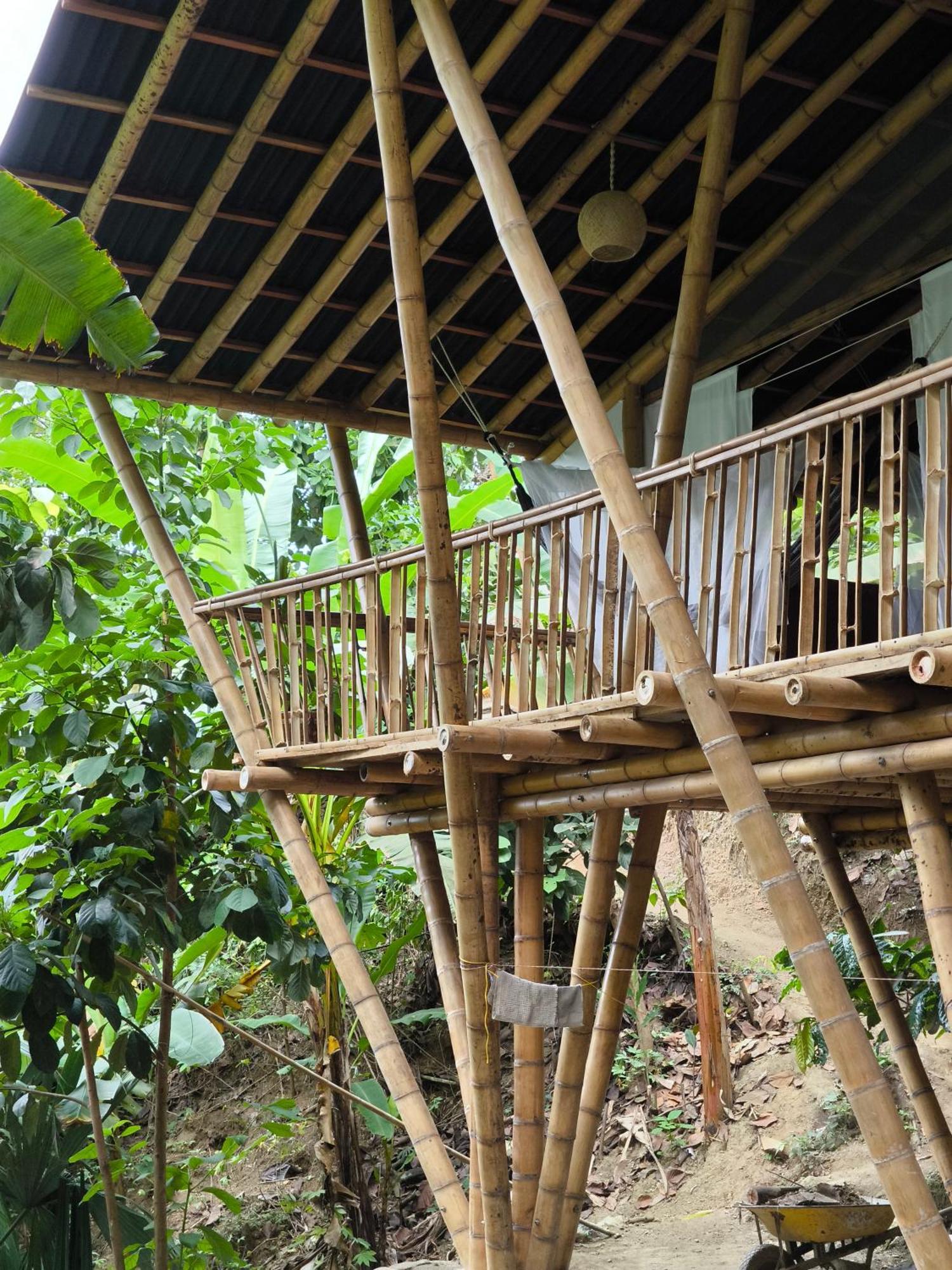 Finca La Selvita Chocolate Experience Buritaca Zewnętrze zdjęcie