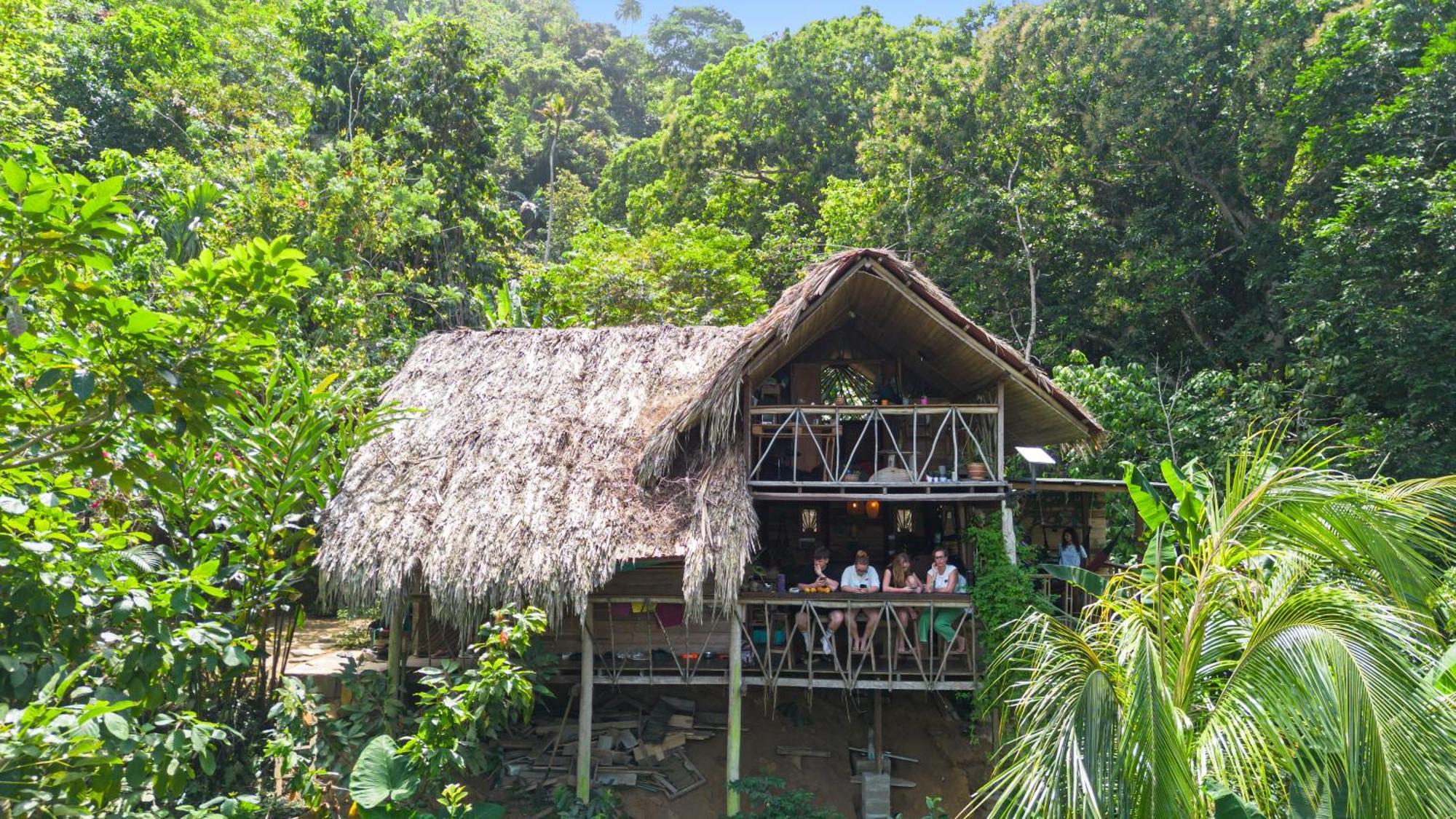 Finca La Selvita Chocolate Experience Buritaca Zewnętrze zdjęcie